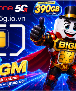 Sim BIGM